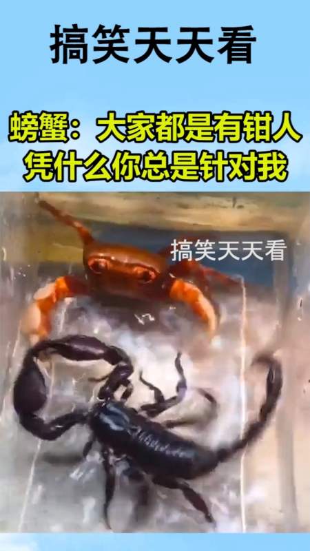 我要上热门#螃蟹:大家都是有钳人,凭什么你总是针对我