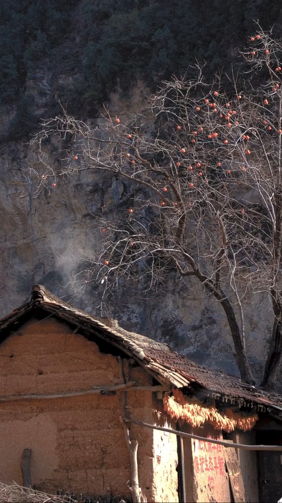 夕阳下,一座老房子升起袅袅炊烟