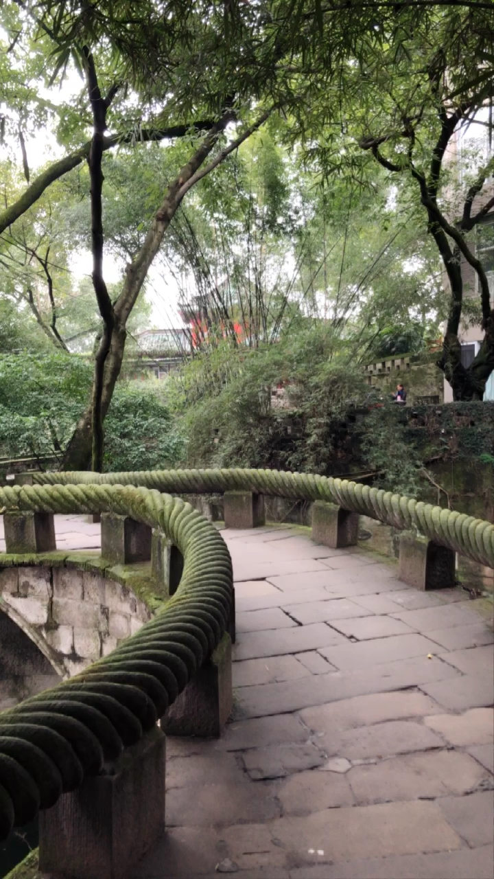 全民小助手 鹅岭公园.绝对的五星推荐.拍摄的是代表景点石绳桥.