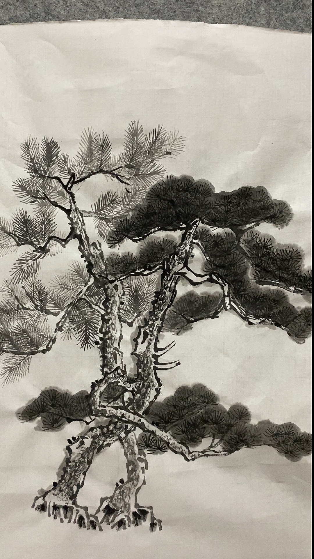 音为有你#国画松树,松针交错,树干苍劲,你会画了么