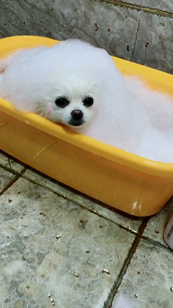 泡泡澡舒服一秒是一秒