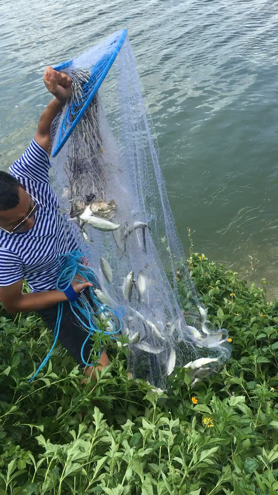 这一网鱼够吃一个星期了
