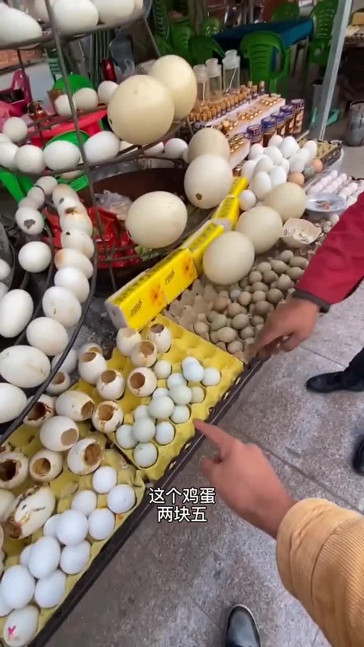花400块钱买了一个鸵鸟蛋感觉人生已经达到了巅峰