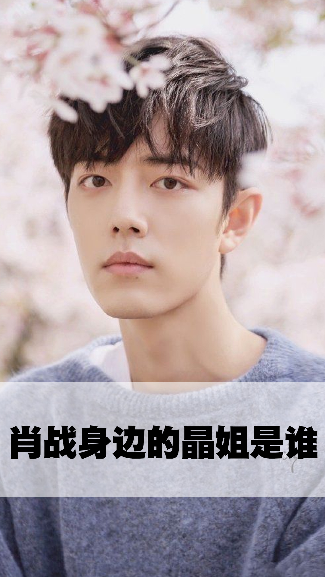 肖战身边的晶姐是谁