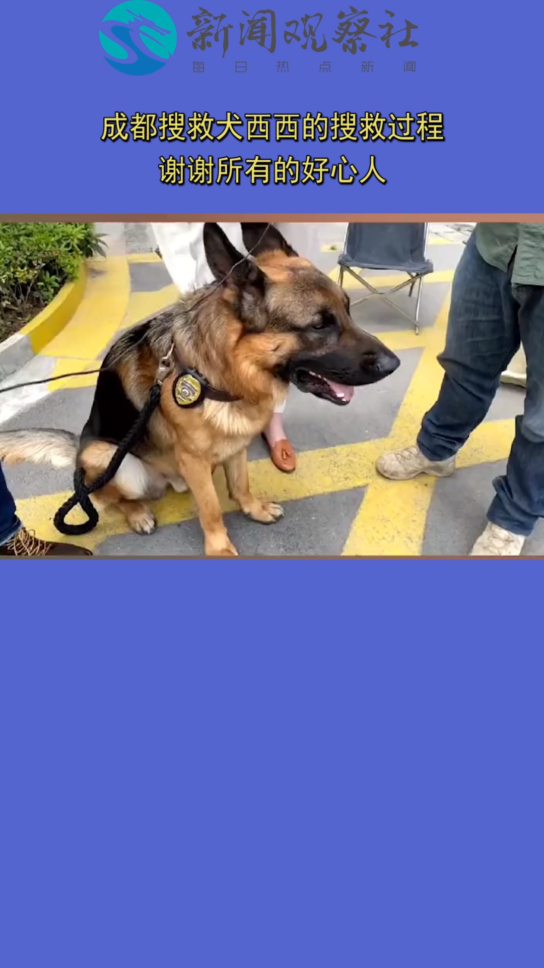亲历者讲述成都搜救犬西西的搜救过程,谢谢所有的好心人!