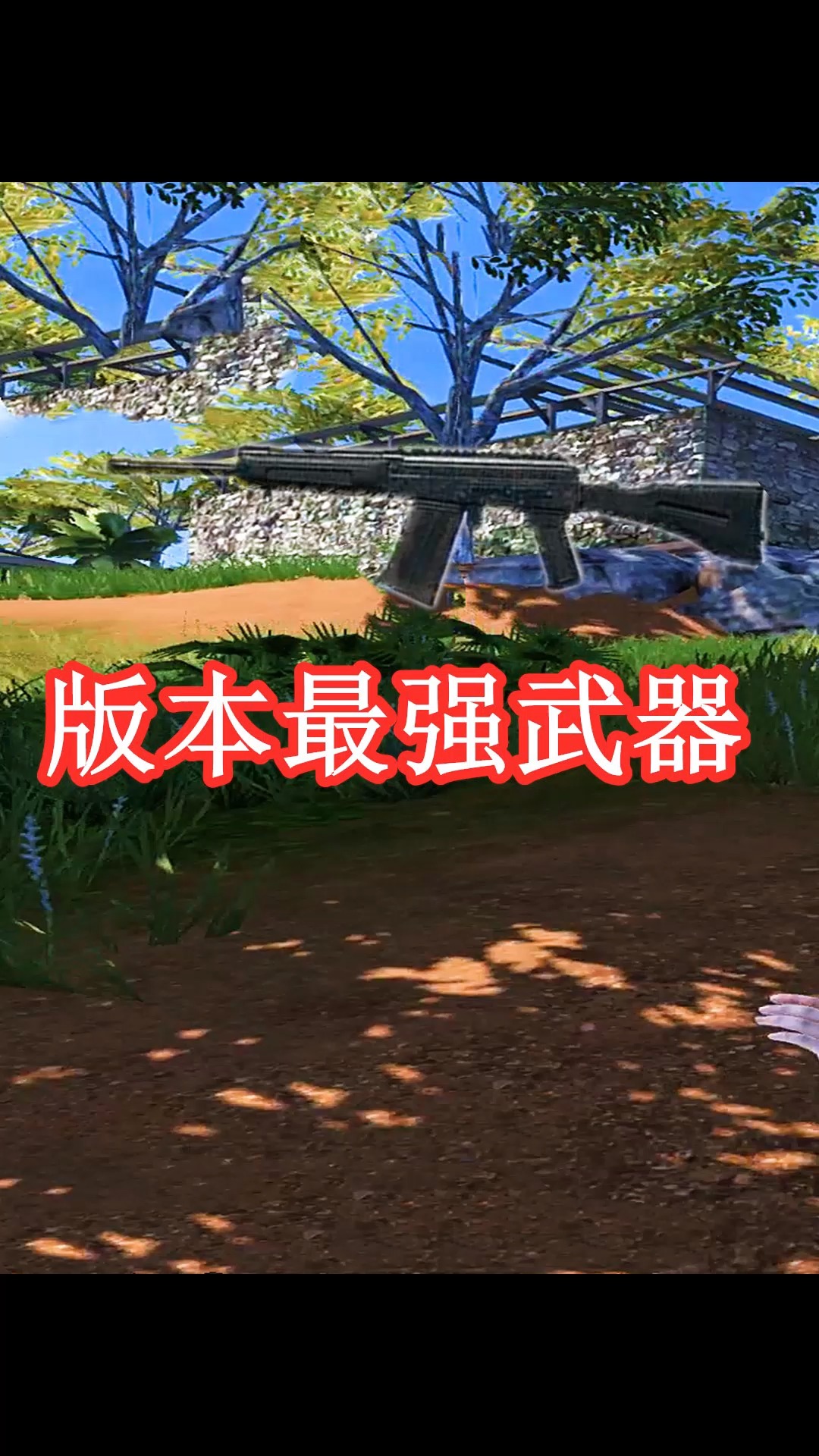 小鱼:挑战版本最强武器,会是那把枪?版本最强搭配是什么?