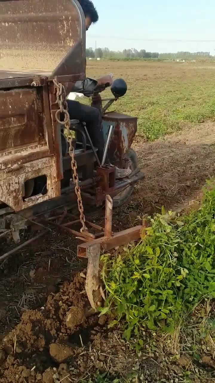 时风三车犁花生