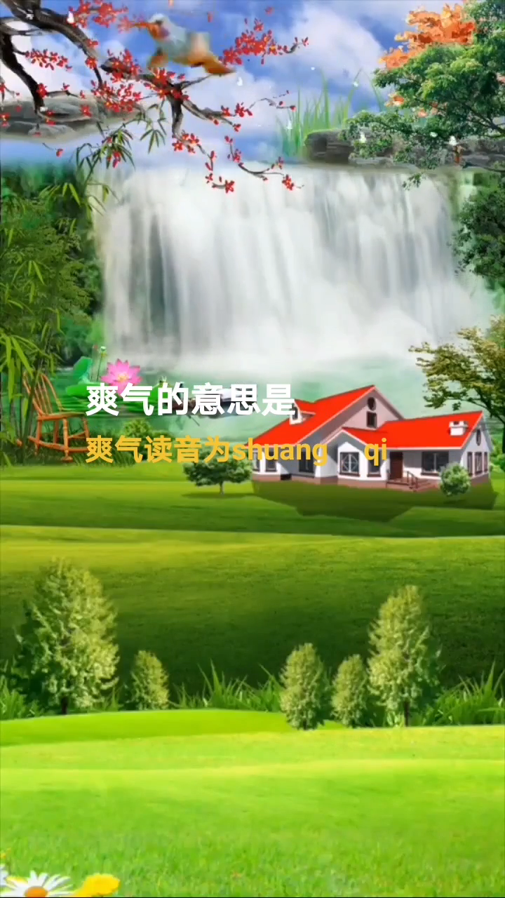 爽气的意思是什么