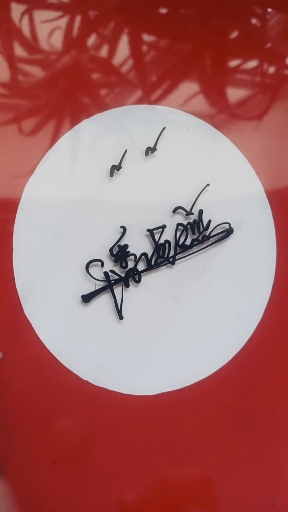 签名要有创意,欣赏后在这每一瞬间会给你留下永久的回忆#潘海燕,牡哪