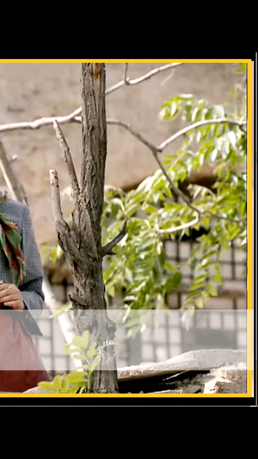 平凡的世界#金俊文一家被抓,全村最着急的竟然是秀莲!