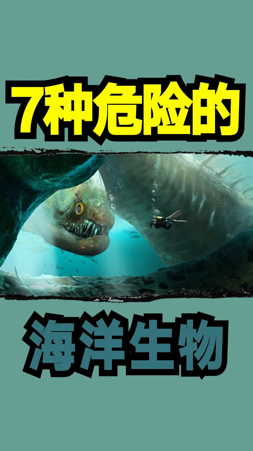 海洋生物#7种危险的海洋生物
