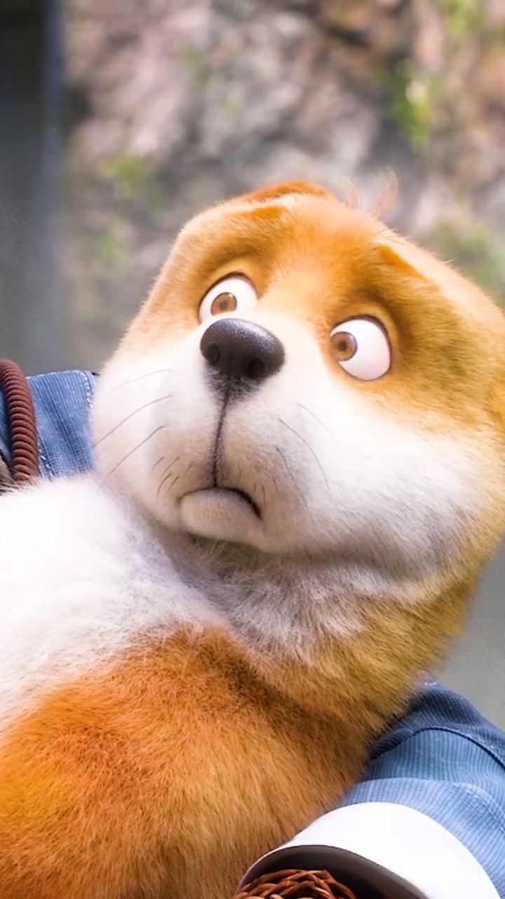 肚兜真是 #可爱 到爆! #动漫 #白蛇缘起 #萌-度小视