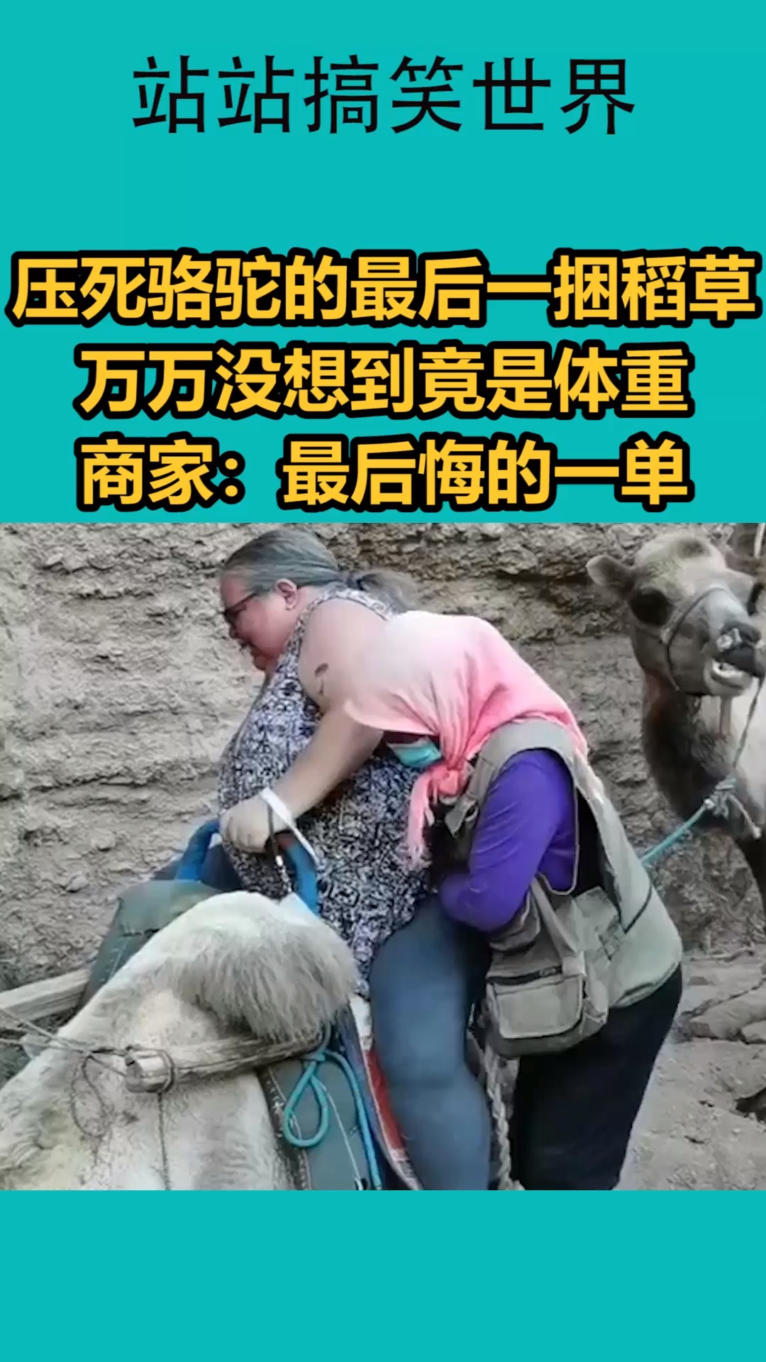 我要上热门#压死骆驼的最后一捆稻草,万万没想到竟是体重,商家:最