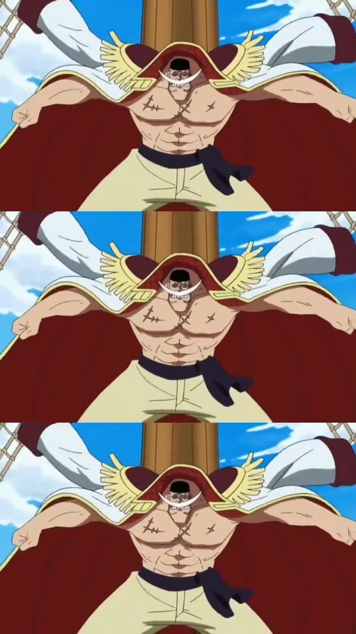 一键动漫#爱德华·纽盖特,白胡子世界最强的男人,顶上战争唉