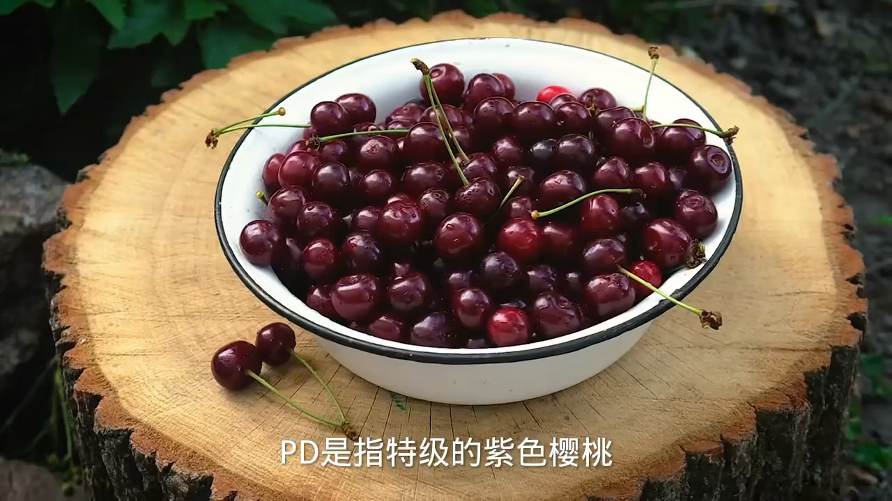 车厘子pd是什么意思