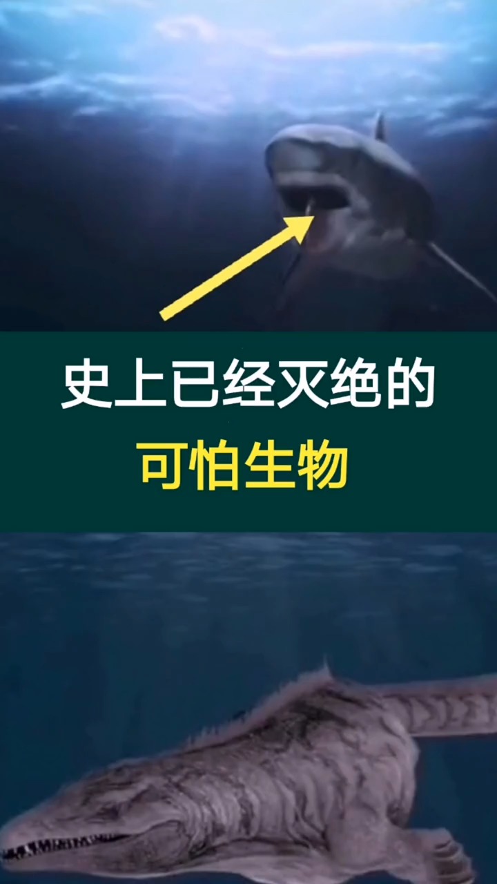 奇闻趣事抢先看#史上已经灭绝的可怕生物