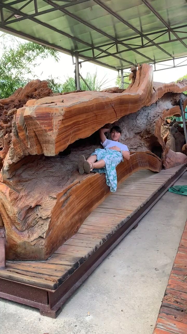 睡了十年的树床