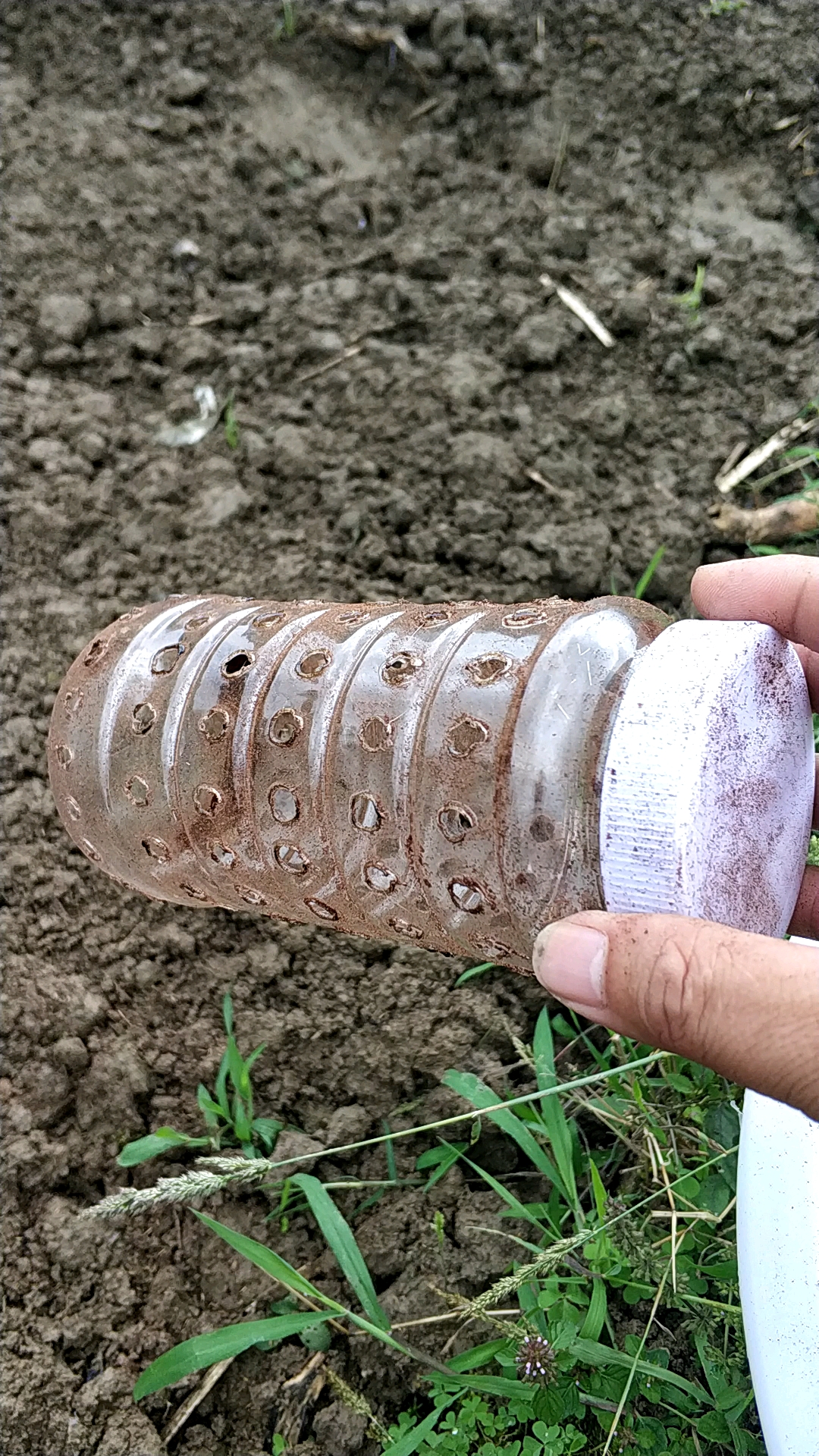 劳动最光荣#五毛钱制一个播种神器,喜欢的点个赞