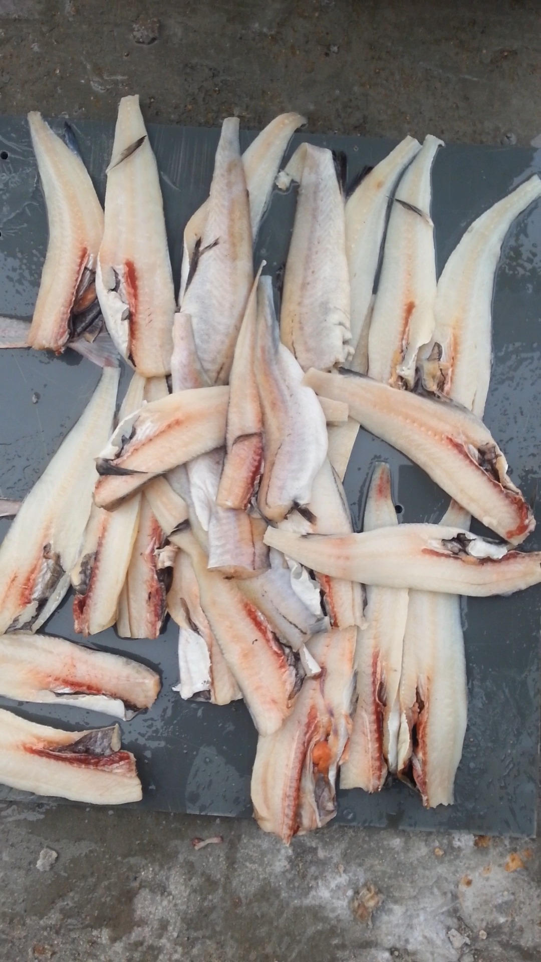 鱼开片机#鳕鱼三枚开片机,去脏去中骨,百度搜索:渔客机械