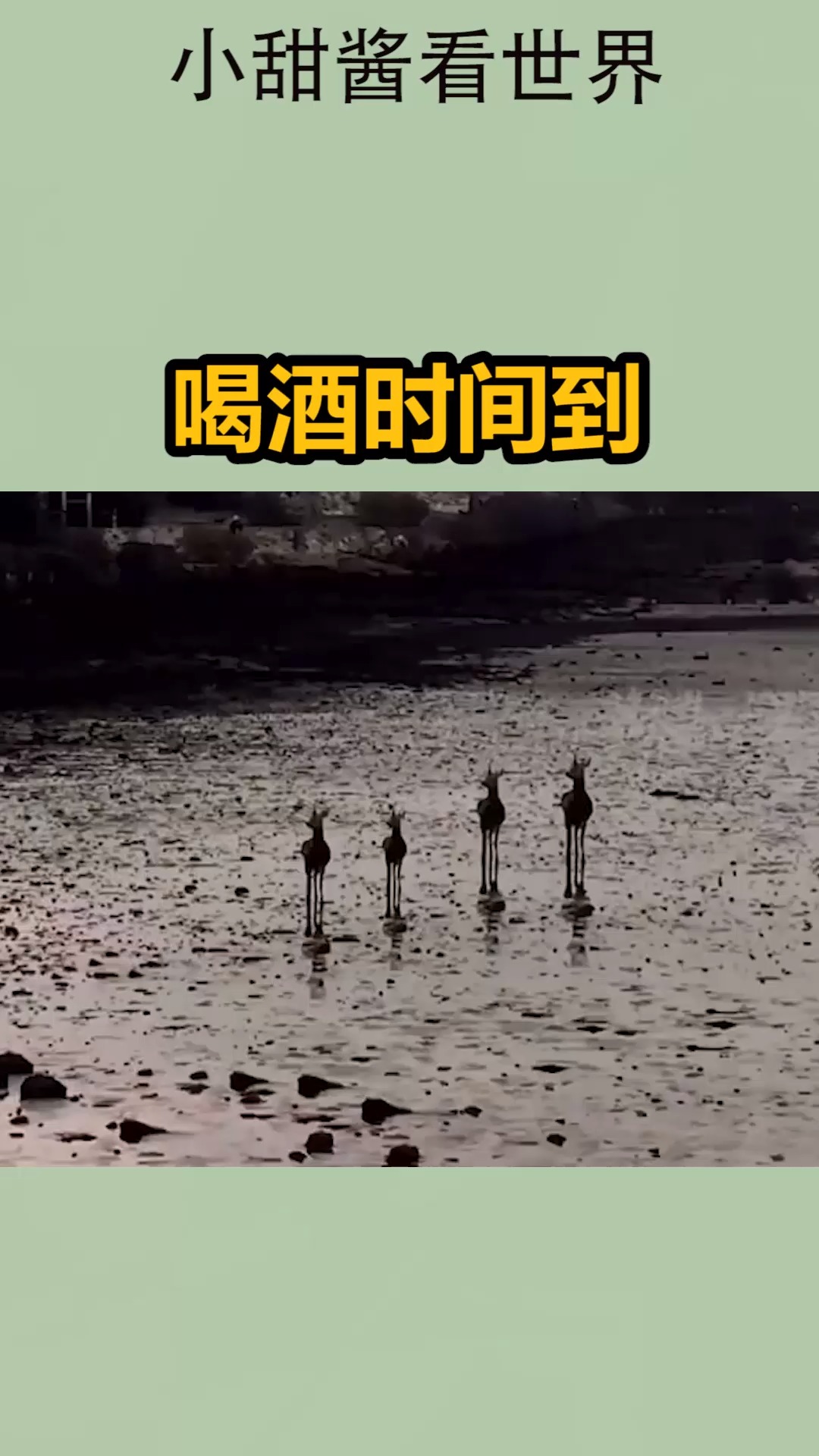 我要上热门#喝酒时间到