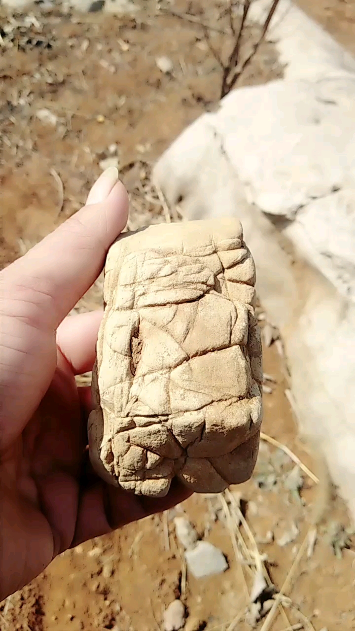 龟裂石,纯天然形成的