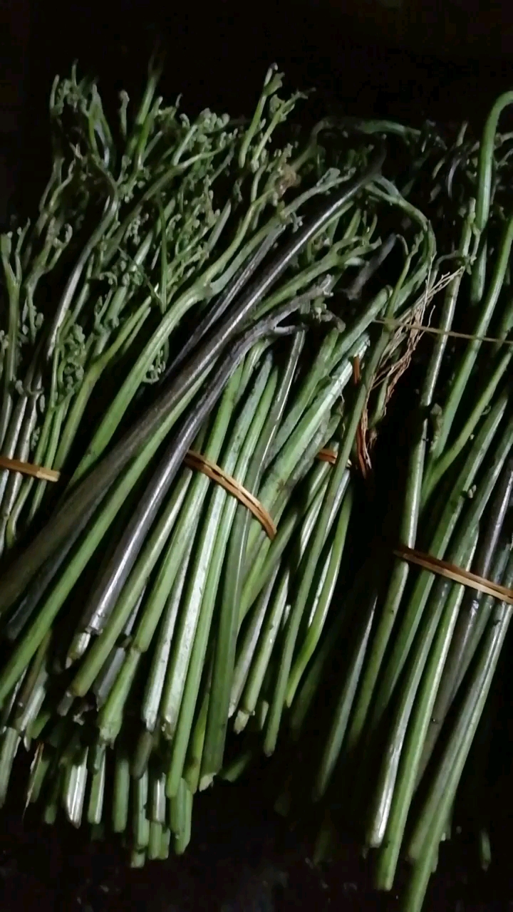 腌制酸蕨菜第一步