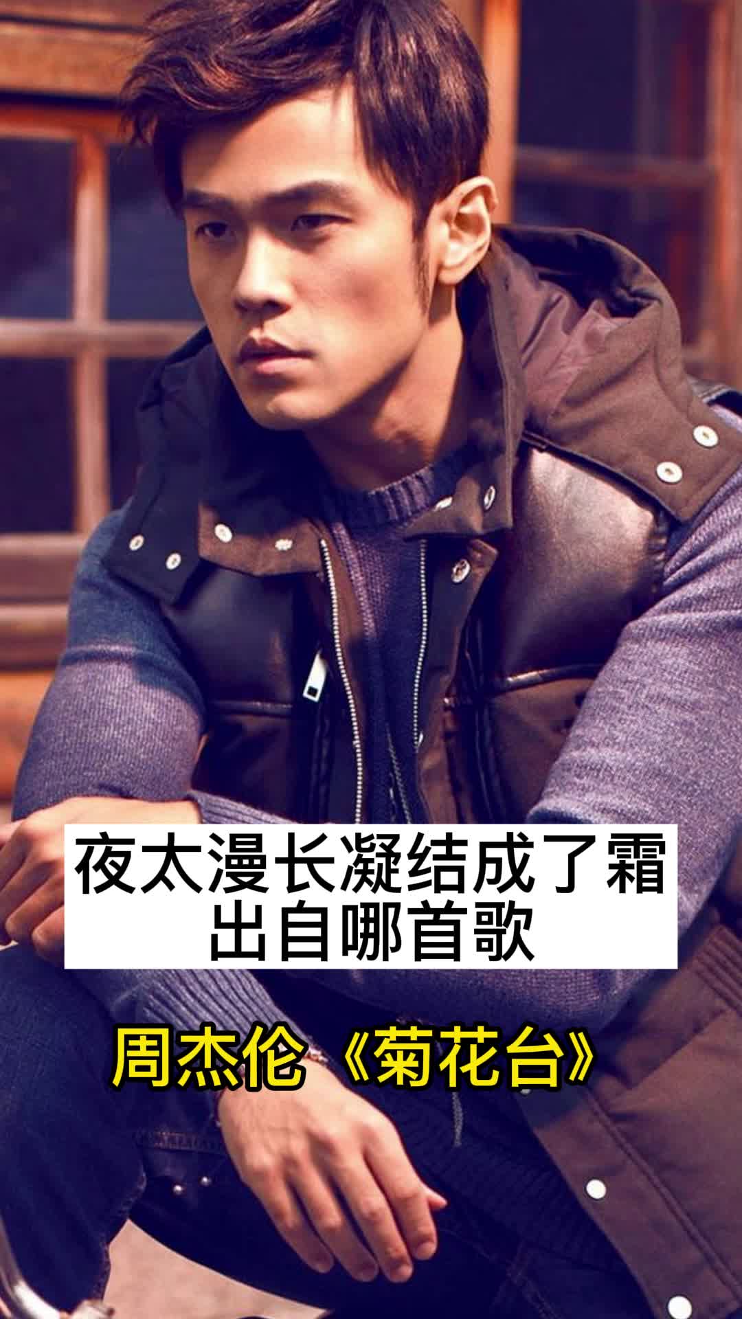 夜太漫长凝结成了霜出自哪首歌你明白了吗