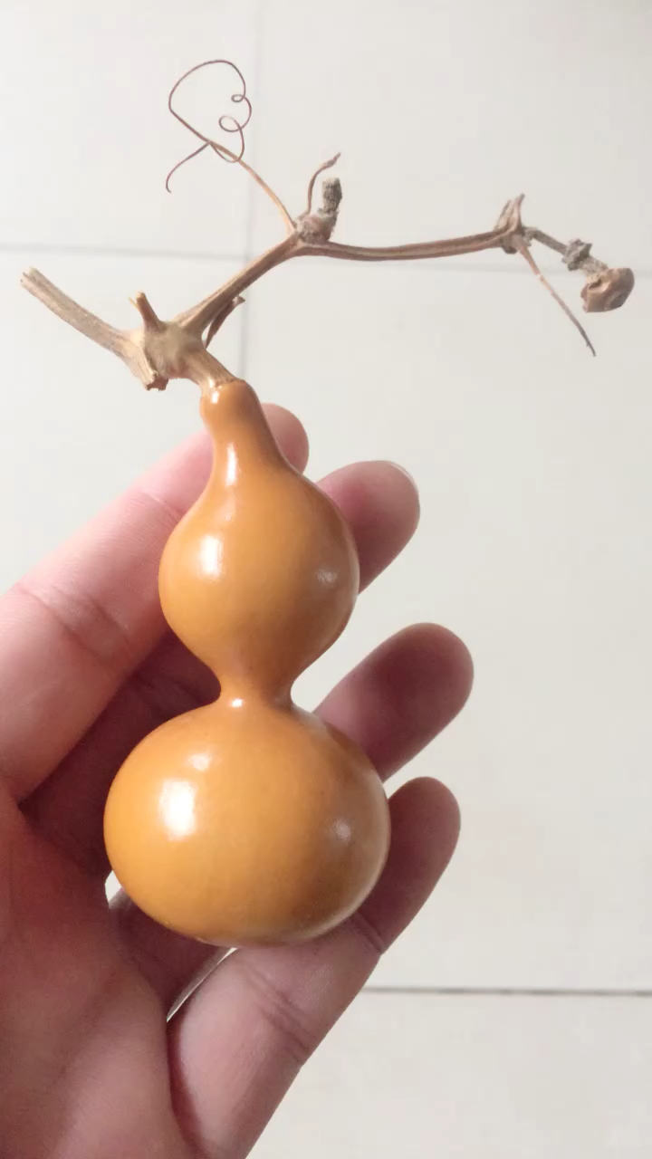 我怎么这么好看#精品葫芦欣赏