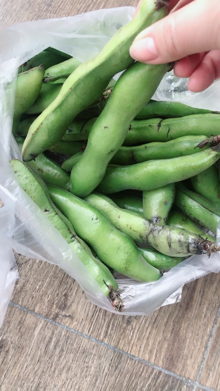 东北姑娘第一次见新鲜蚕豆