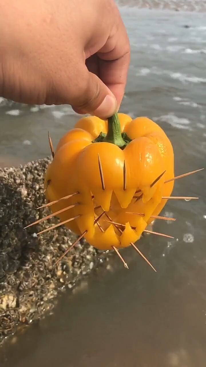 自制捉蟹神器,了解下!