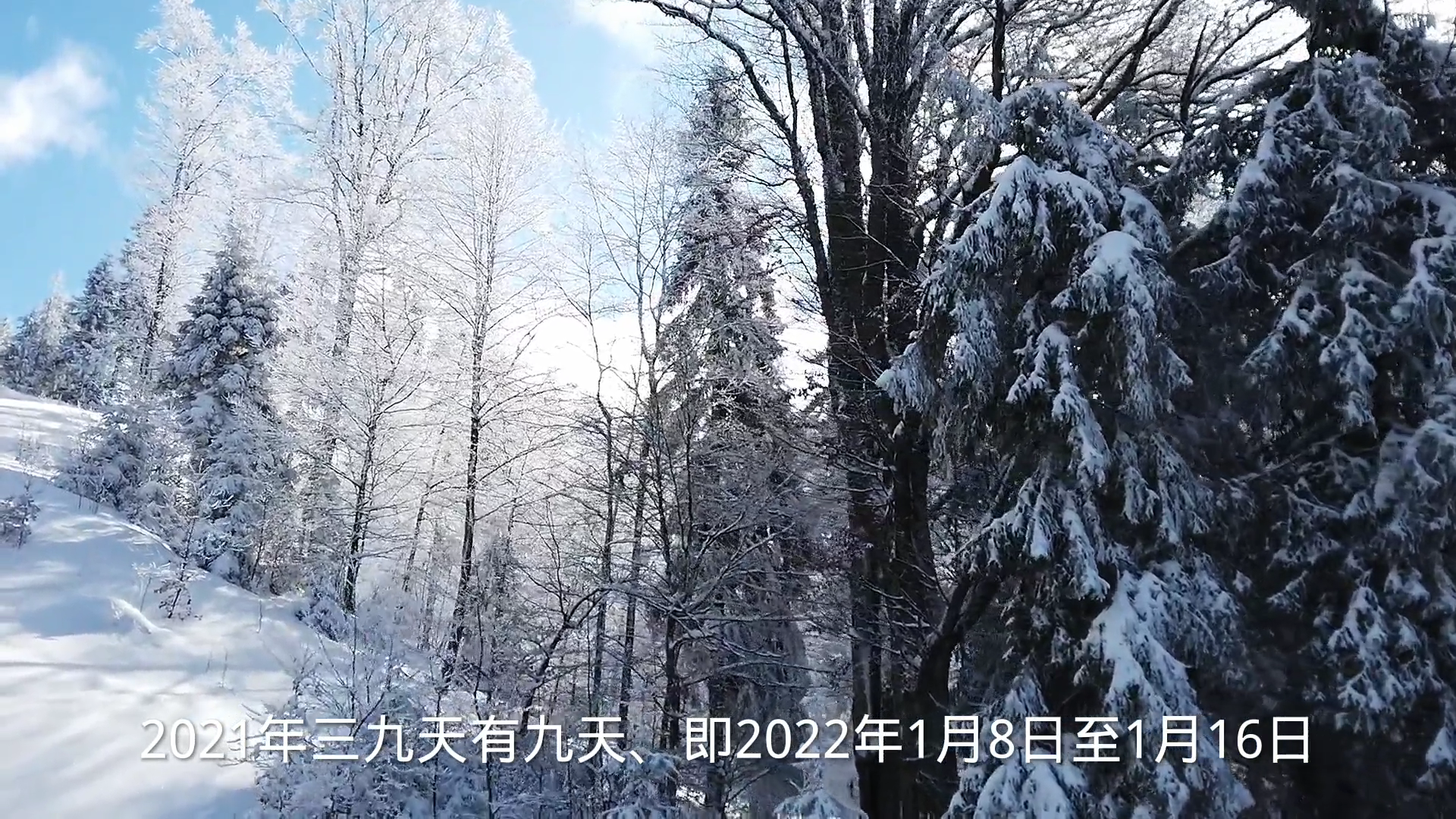 三九天时间表2021多少天?