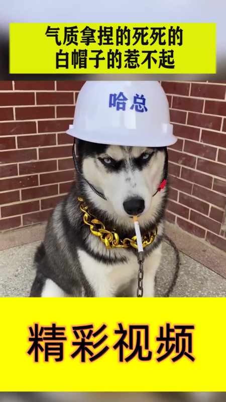 气质拿捏的死死的,白帽子的惹不起,不屑的眼神秒杀一切!