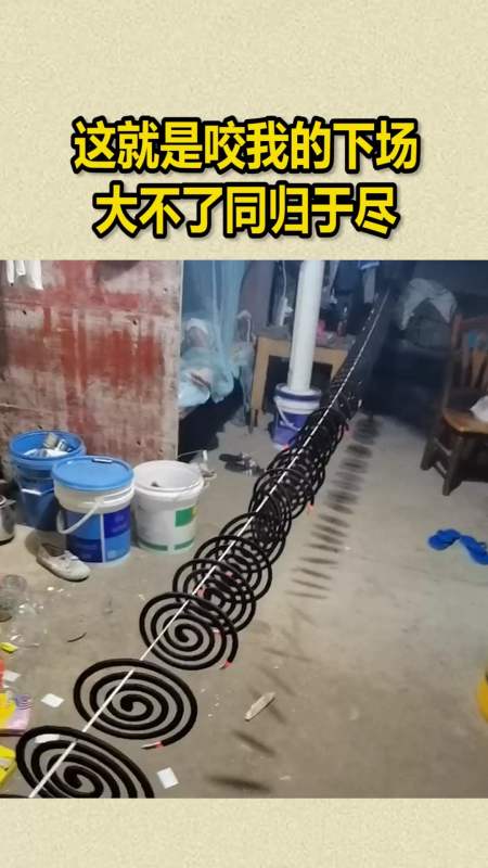 我要上热门#这就是咬我们的下场,大不了同归于尽-度小视