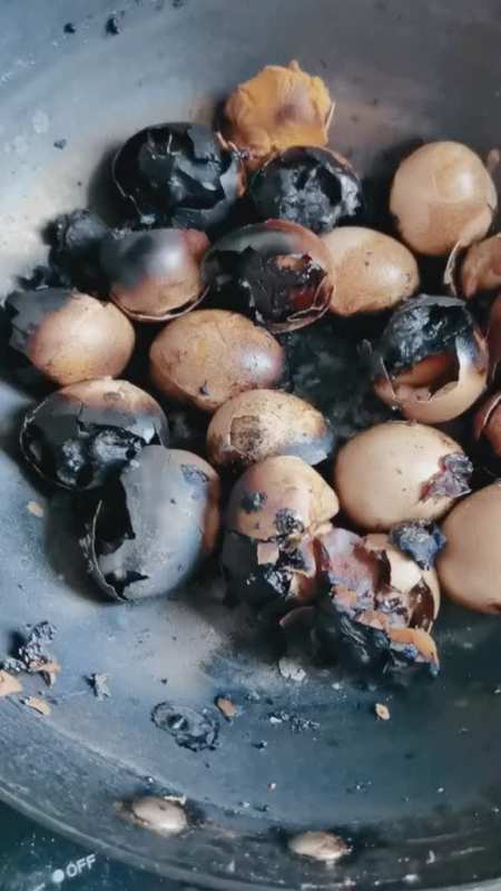 看我把鸡蛋煮糊了煮20鸡蛋准备下午给孙子孙女吃的锅里煮鸡蛋我忘了