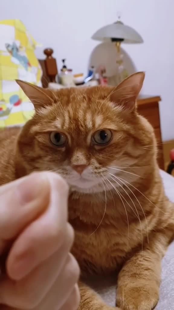 一薅一撮儿,一薅一撮儿