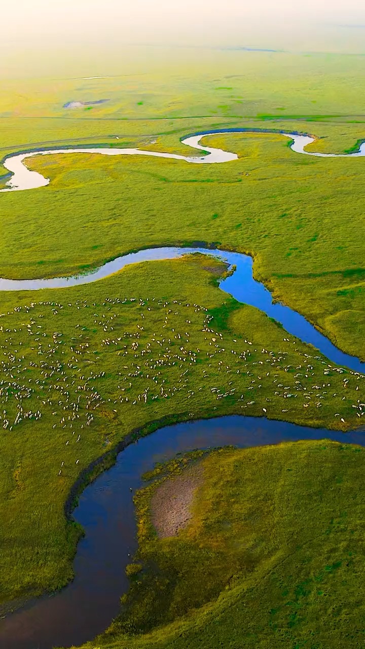 草原音画,美丽的乌拉盖河,让您醉在草原上,内蒙仲夏好生活,寻觅漫画里