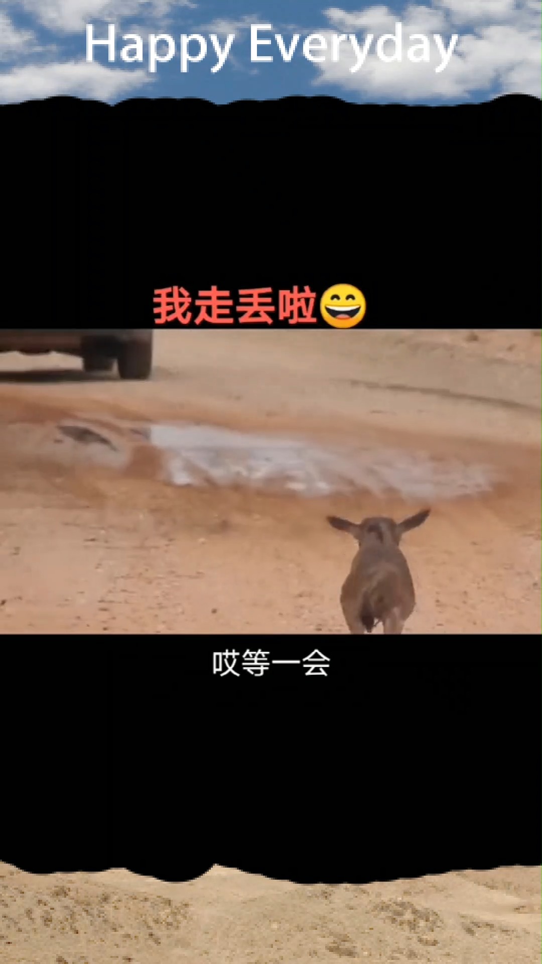 自己把自己走丢啦,那是没谁啦得回碰见个好心人长点心吧