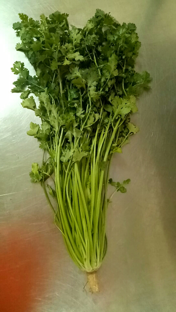 看看这是一颗香菜就长这么大!肯定是转基因的,这得上了多少化肥啊!