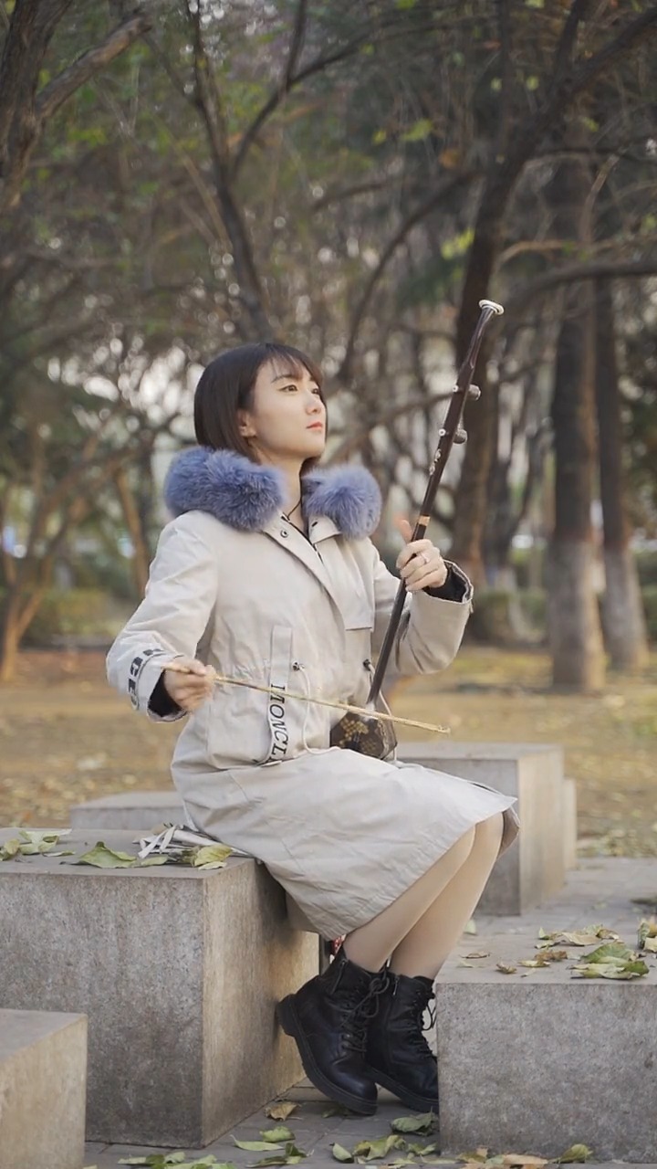 古典中国风国风民乐艺术欣赏二胡独奏小花鼓