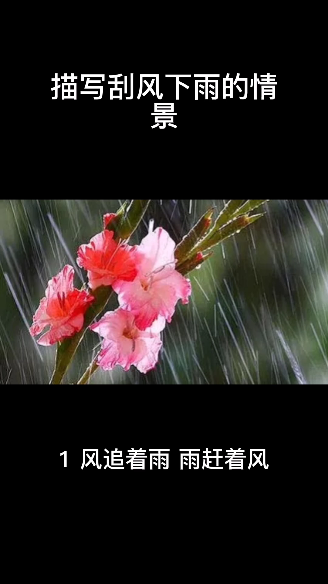 描写刮风下雨的情景