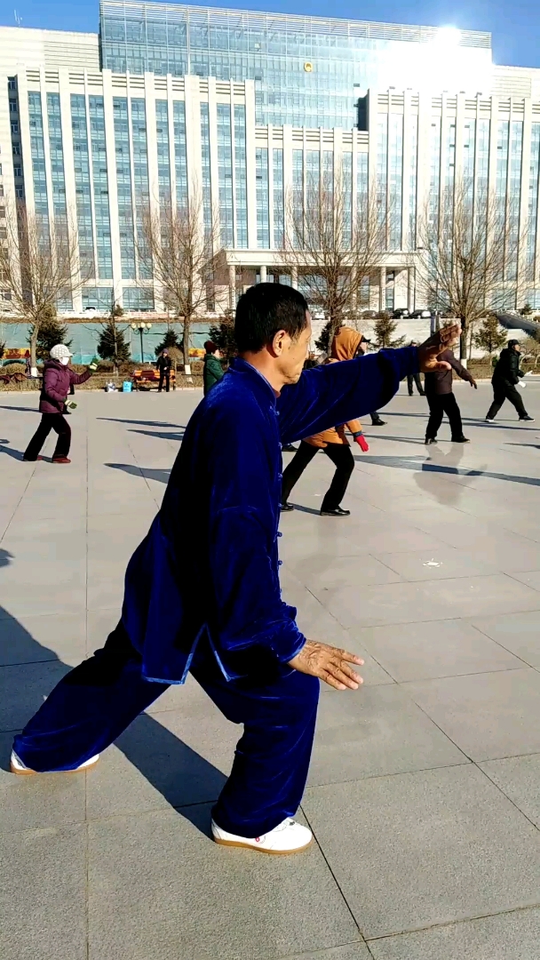 杨氏传统108式太极拳,倒撵猴,斜飞势,右抱七星,提手上市,白鹤亮翅