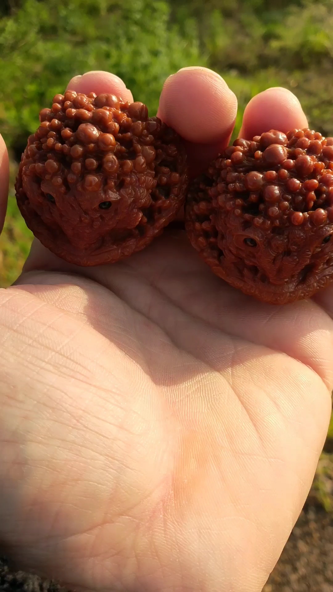 贝勒爷手上三件宝,核桃,扳子,笼中鸟都有了