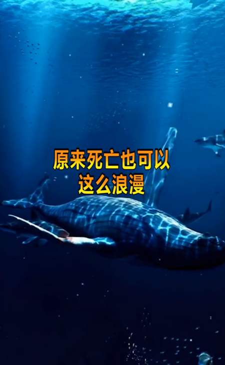 奇趣#原来"死亡"也可以这么浪漫,一鲸落万物生,场面太震撼!