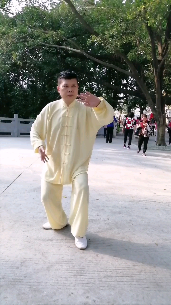 每日一招太极之闪通臂