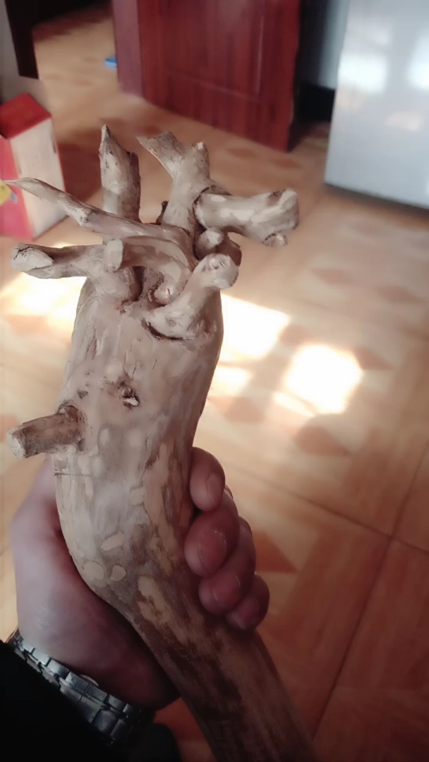 这个桃木根像什么