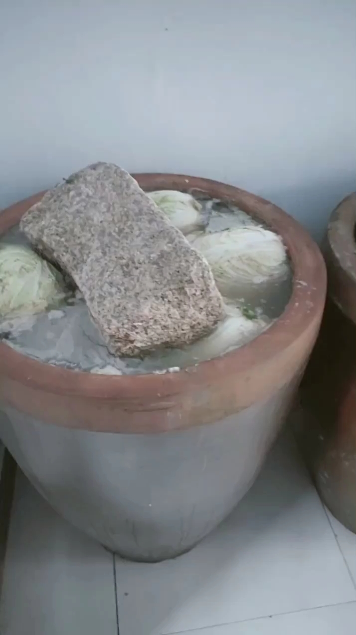 腌酸菜小妙招.#这整齐的大缸酸菜让我想起了让人流口水的大鹅炖酸菜.