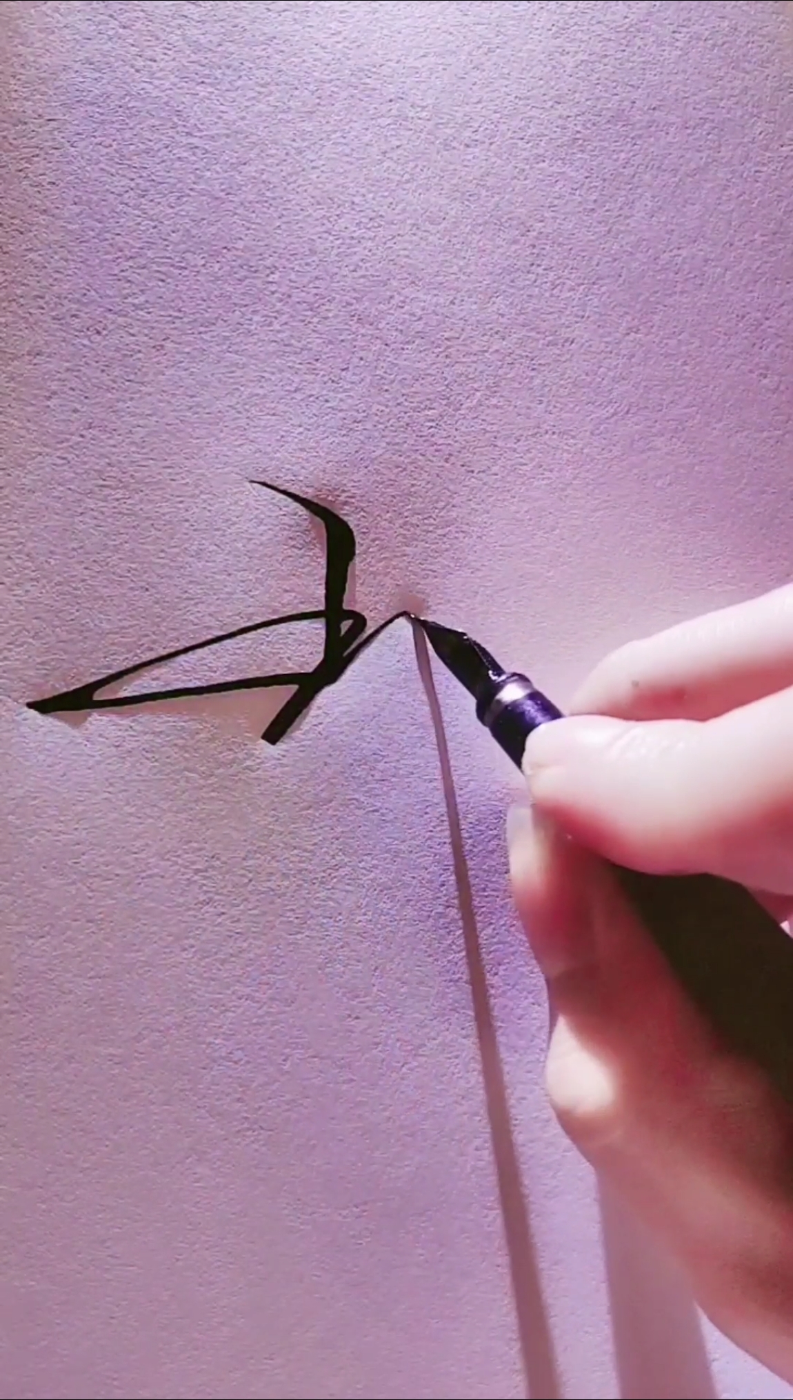 艺术签名#王珊珊