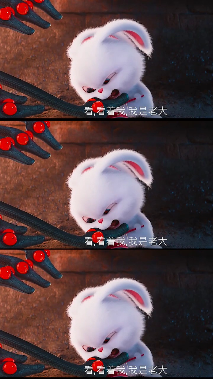 动漫#这样的黑帮兔子老大,真是太可爱了,你们喜欢吗?-全民小视频