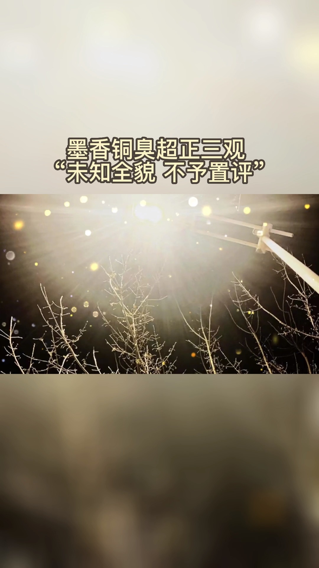 魔道祖师墨香铜臭超正三观未知全貌不予置评