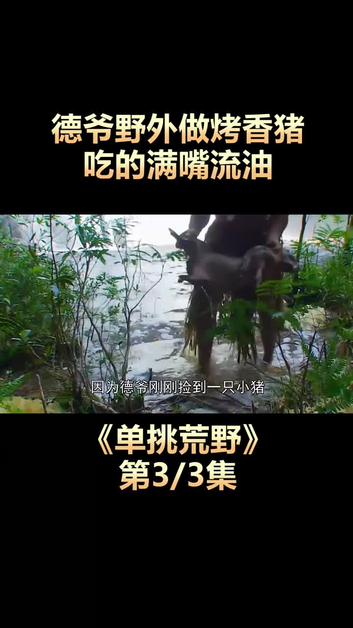 单挑荒野:德爷在野外捡到一只猪,做成烤香猪,吃的满嘴流油